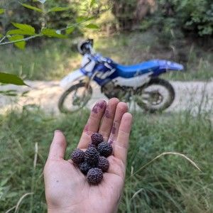 Meet your Posher, Alexandra